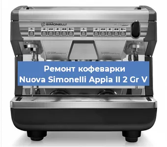 Чистка кофемашины Nuova Simonelli Appia II 2 Gr V от накипи в Самаре